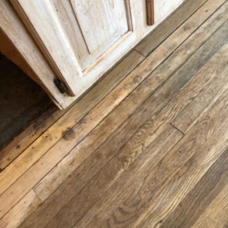 Just another WordPress site