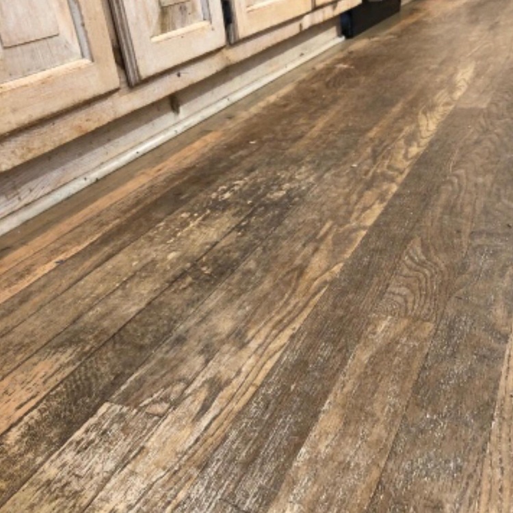 Just another WordPress site