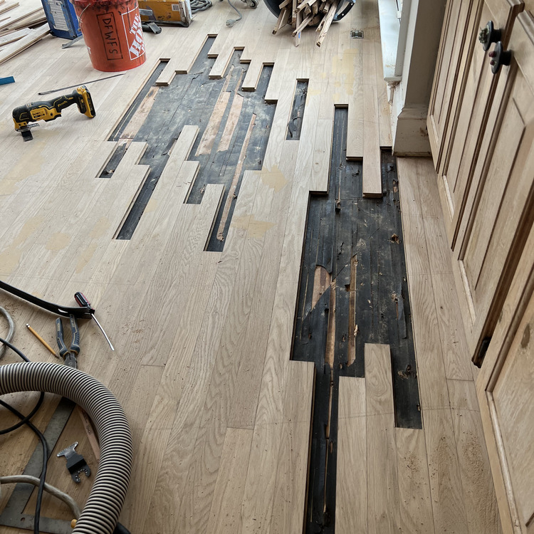 Just another WordPress site