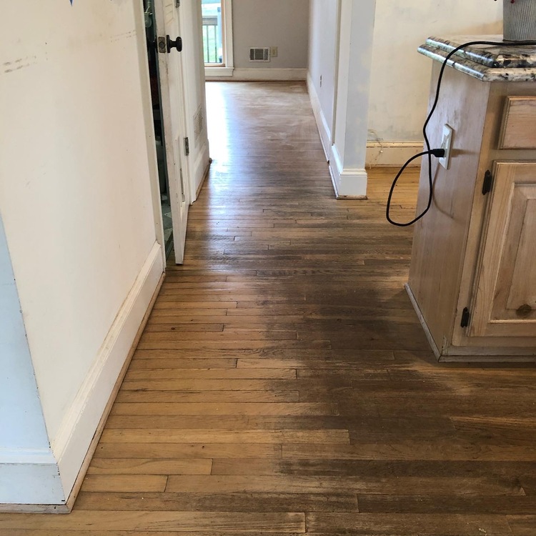 Just another WordPress site