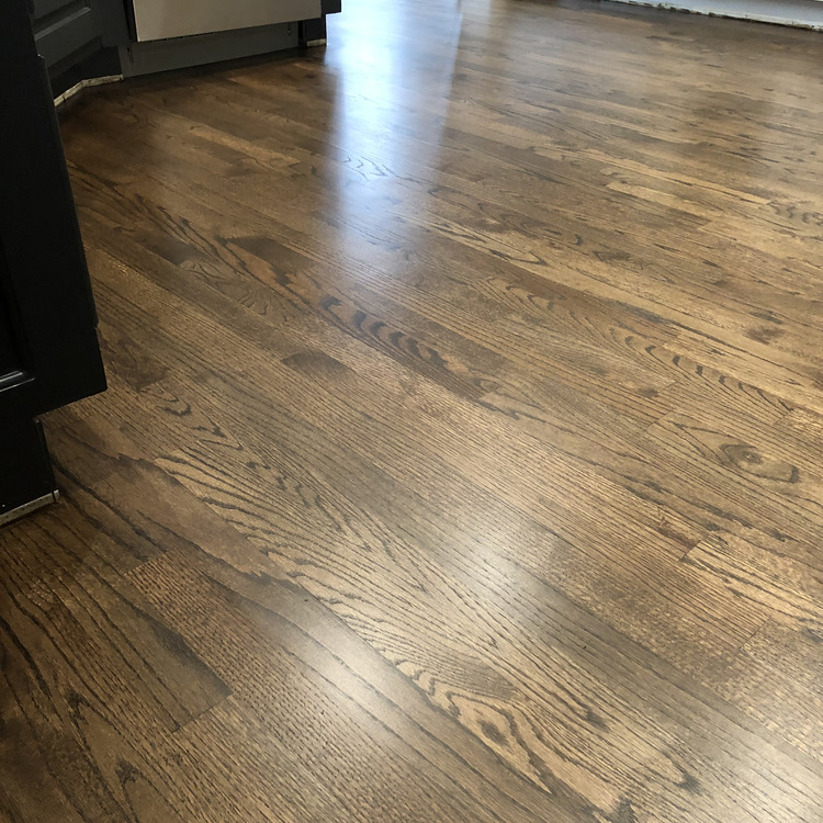 Just another WordPress site