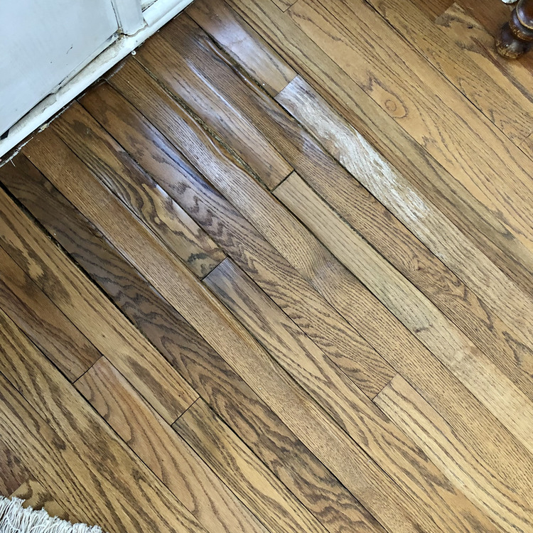 Just another WordPress site