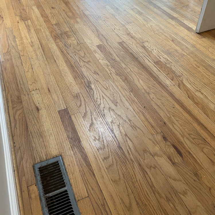 Just another WordPress site