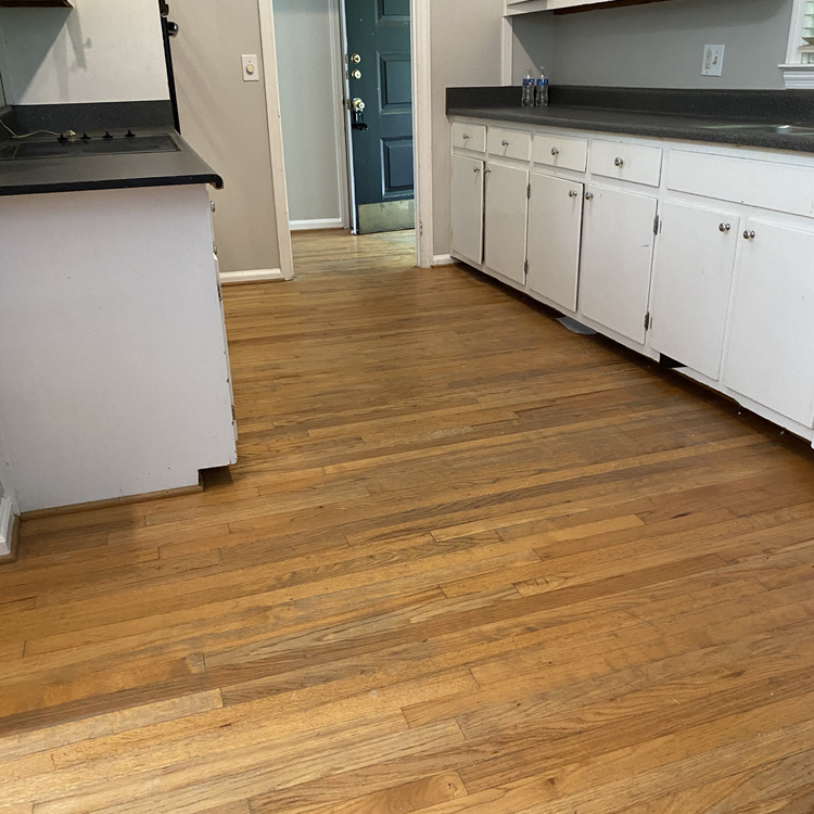 Just another WordPress site