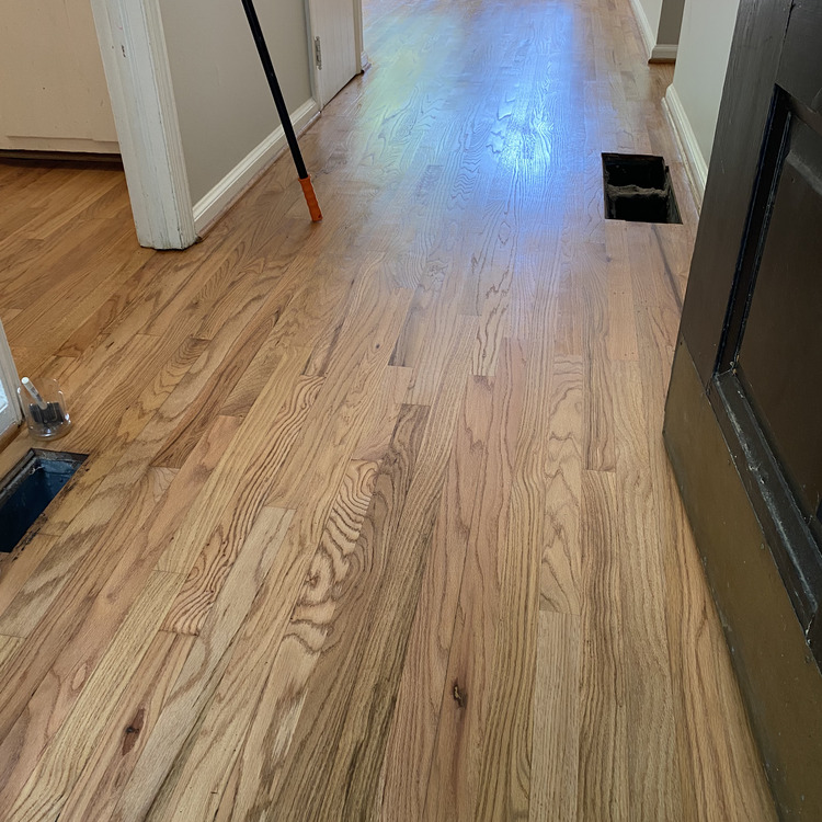 Just another WordPress site