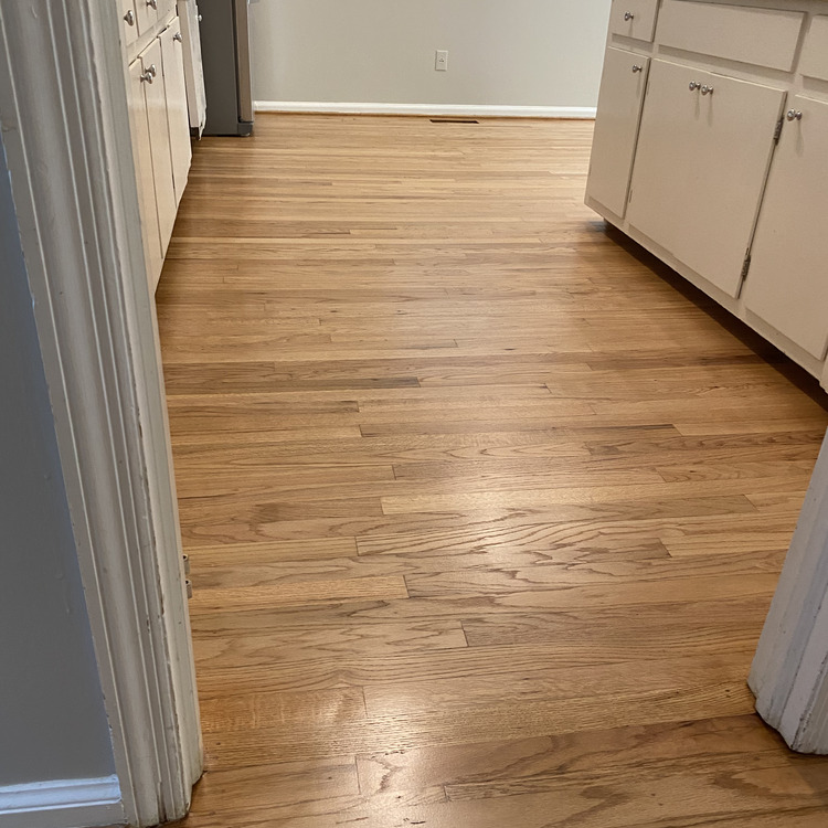 Just another WordPress site