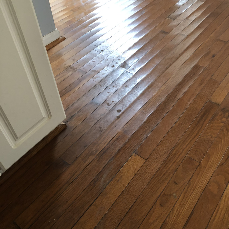 Just another WordPress site