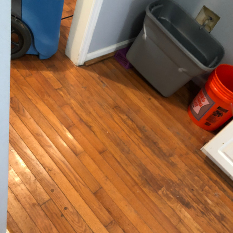 Just another WordPress site