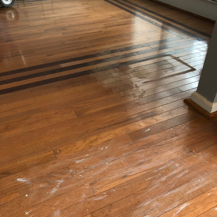 Just another WordPress site