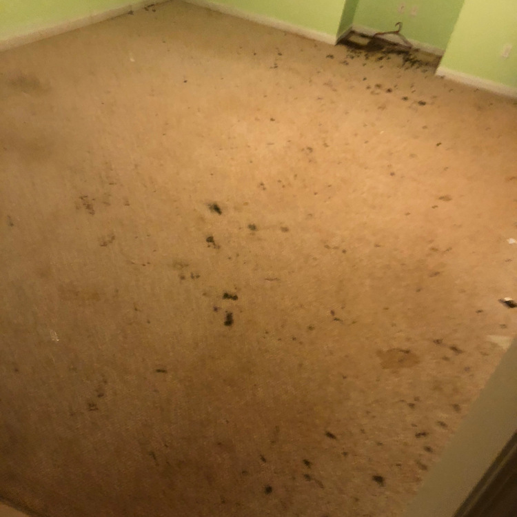 Just another WordPress site