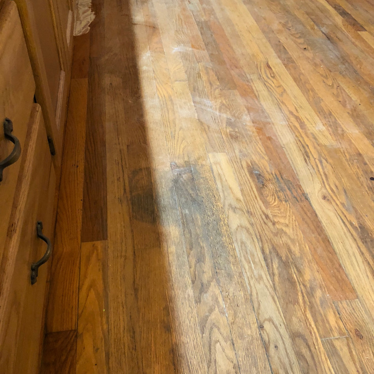 Just another WordPress site