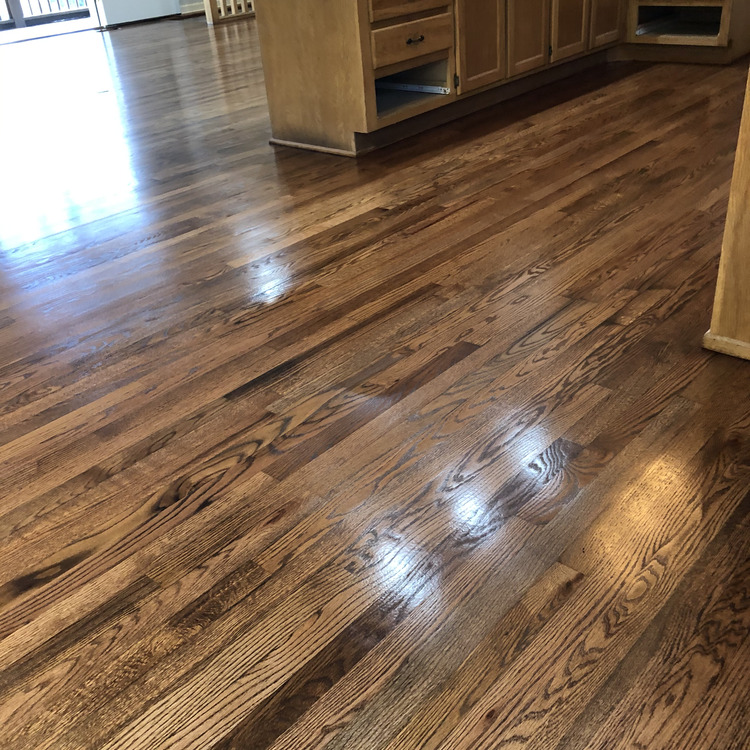 Just another WordPress site