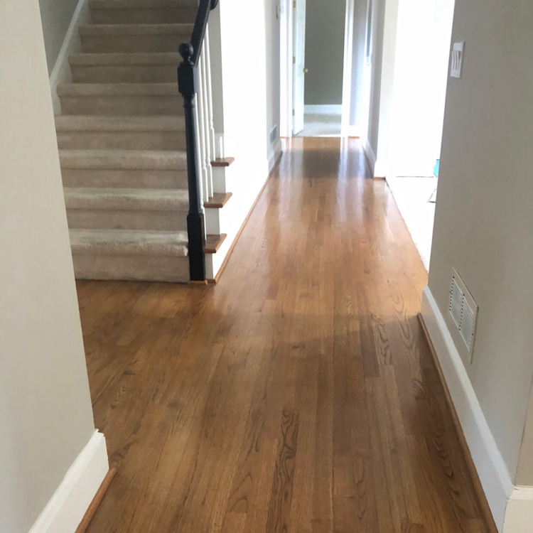 Just another WordPress site