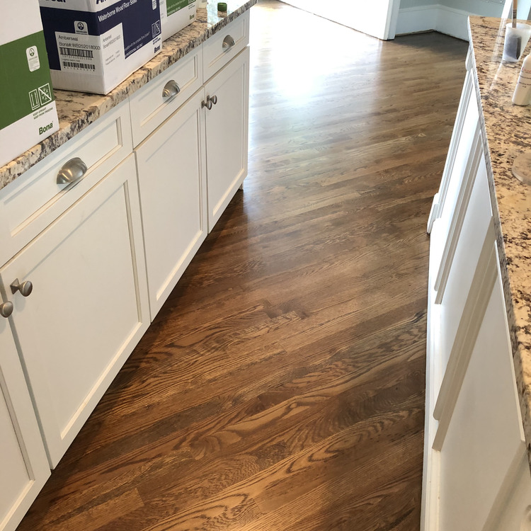 Just another WordPress site